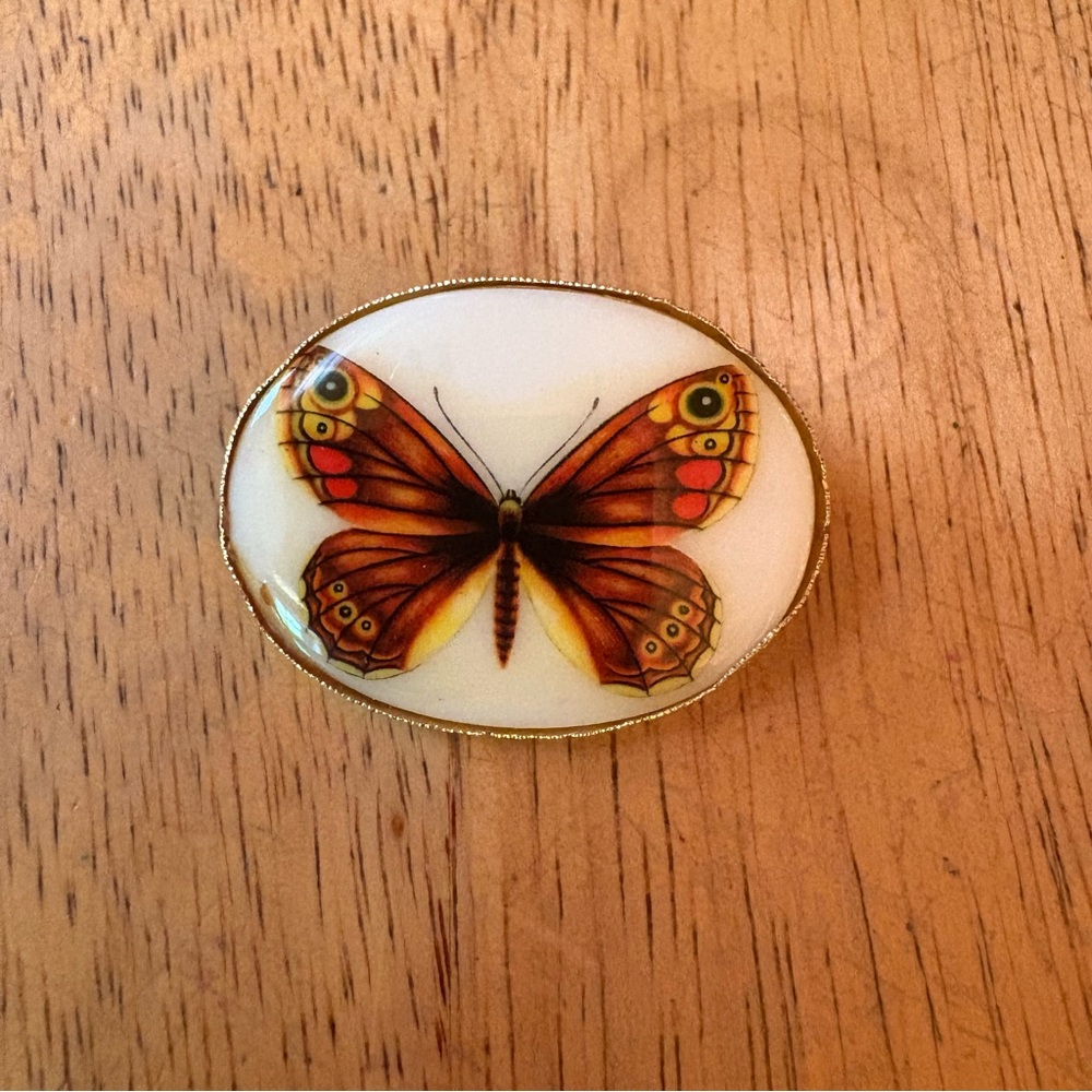 Vintage Butterfly Brooch with Gold Trim